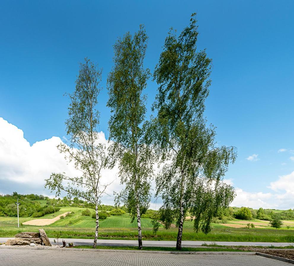 Agrohotel Tri Brezy Hrustin Bagian luar foto